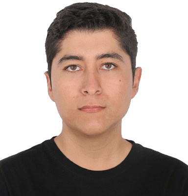 Retrato de Stefano